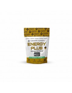 Energy Plus