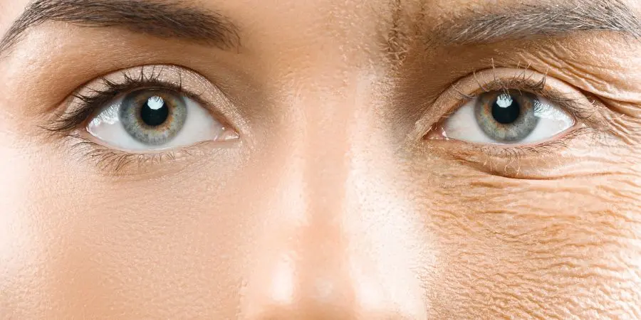 taurina antienvejecimiento